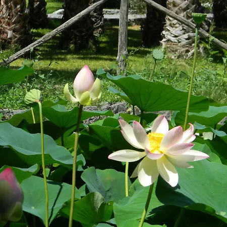 Gianferrante Landhuis