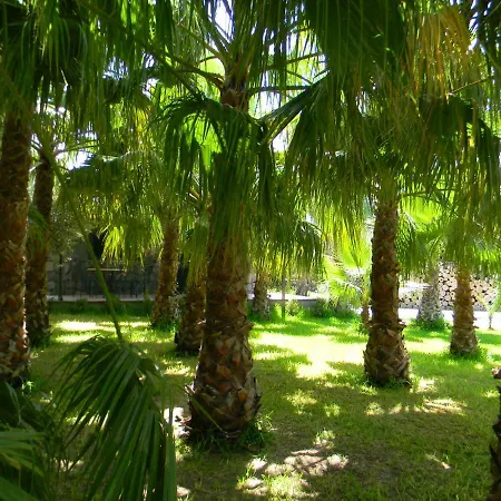 Agriturismo Gianferrante Paterno (Sicily)